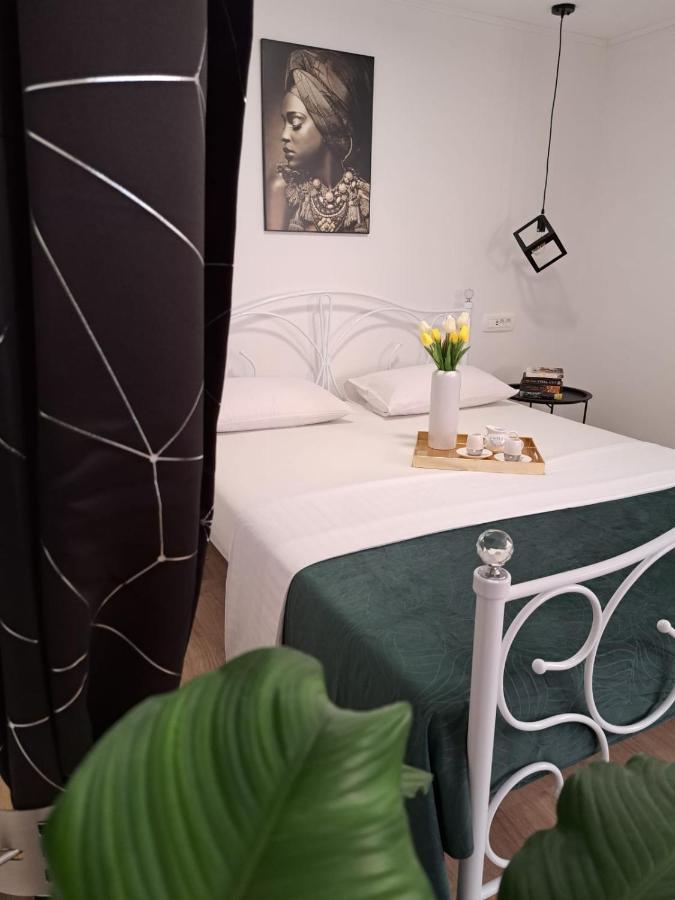 Studio Apartman Maris Leilighet Zadar Eksteriør bilde